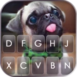 cute tongue pug android application logo